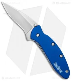 Kershaw 31 Kershaw Chive Assisted Opening Knife Navy Blue (1.94" Stonewash) 1600NBSW
