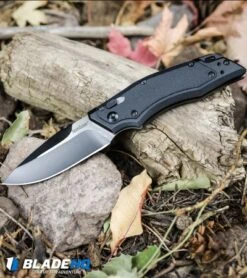 Kershaw Induction Folding Knife Black GFN (3.125" Two-Tone) 1905 11 Kershaw Induction Folding Knife Black GFN (3.125" Two-Tone) 1905 -Kershaw Kershaw Induction Folding Knife Black GFN Two Tone 1905 BHQ 34432 kp woods web