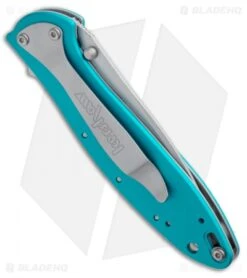 Kershaw -Kershaw Kershaw Leek 1660teal BHQ 22700 jr side