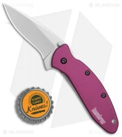 Kershaw Scallion Assisted Opening Knife Purple (2.25" Bead Blast) 1620PUR -Kershaw Kershaw Scallion purple bb BHQ 14804 er bottlecap