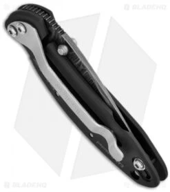 Kershaw Chive Assisted Opening Knife Black (1.94" Damascus) 1600DAMBK -Kershaw kershaw black damascus plain 1600damckt chive side