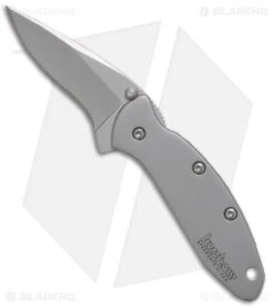 Kershaw 35 Kershaw Chive Assisted Opening Knife (1.94" Bead Blast) 1600